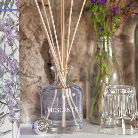 Perbezaan Antara Penyebar Aroma Reed dan Pelembap